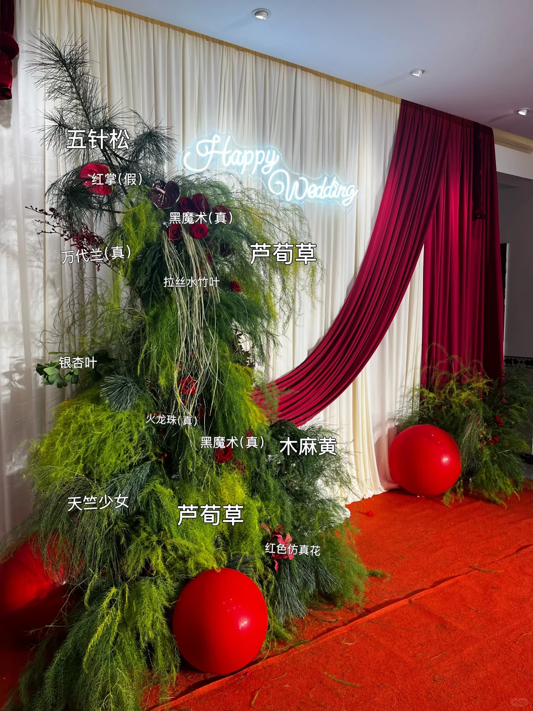 黑魔术玫瑰
